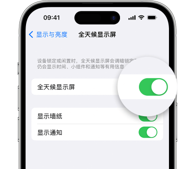 饶阳苹果15预约维修分享iPhone15如何设置全天候显示屏幕可见 